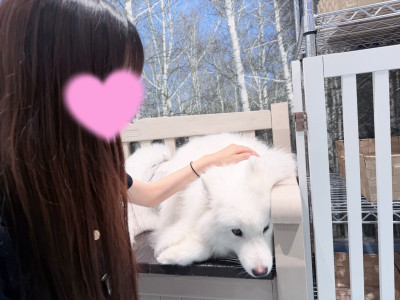 りのあの写メ