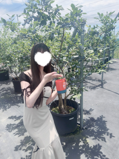 りのあの写メ